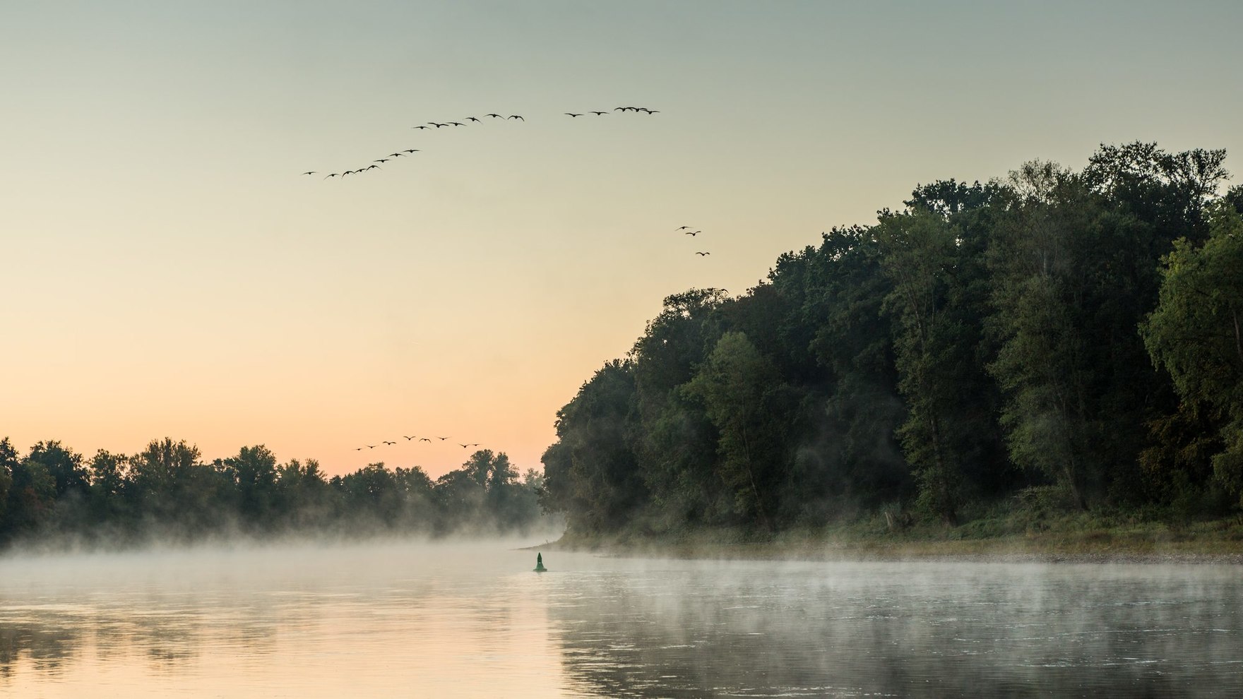 Elbe im Morgennebel