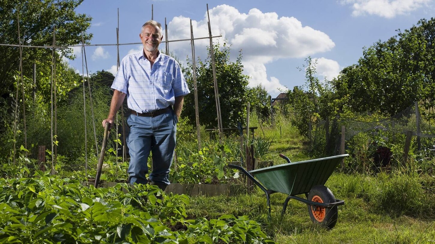 Garten-Podcast, Symbolbild: Ein Mann steht in einem Gemüsegarten, daneben eine Schubkarre