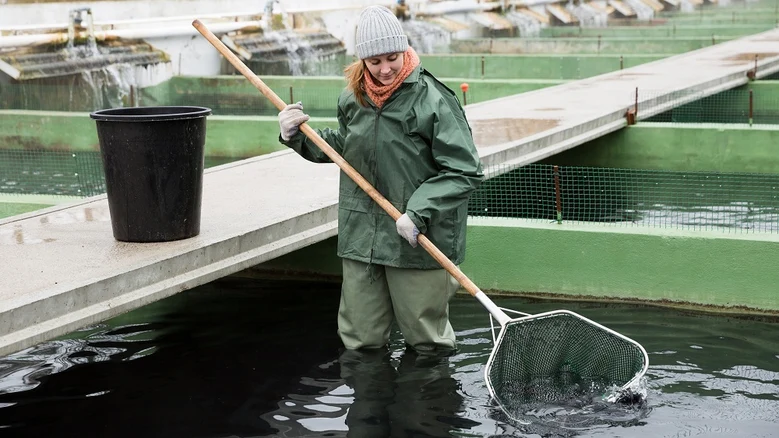 Fischwirtin mit Kescher steht mit Wathose in einem Aufzuchtbecken für Fische