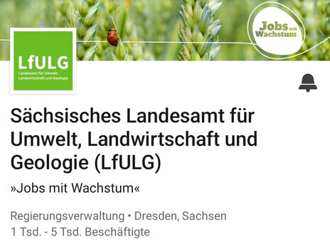 Ansicht des LinkedIn Accounts des LfULG