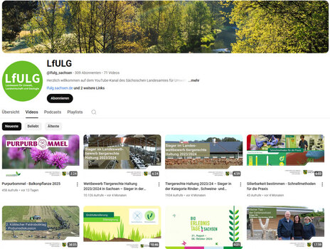 Screenshot Kopfbereich LfULG-YouTube-Kanal