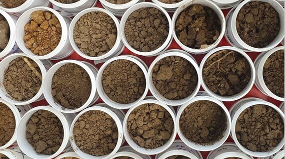 Bild mit verschiedenen Bodenproben