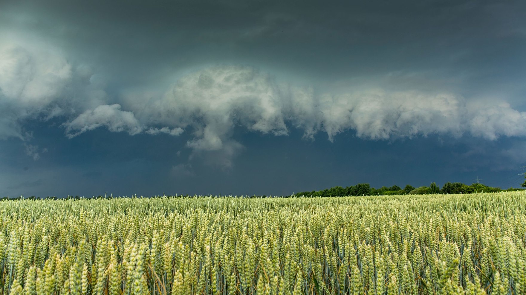 Unwetter über Feld