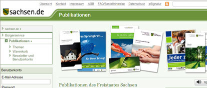 Screenshot Publikaitonsdatenbank