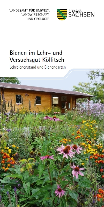 Bienen im Lehr- und Versuchsgut Köllitsch